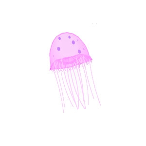 Pink Jellyfish